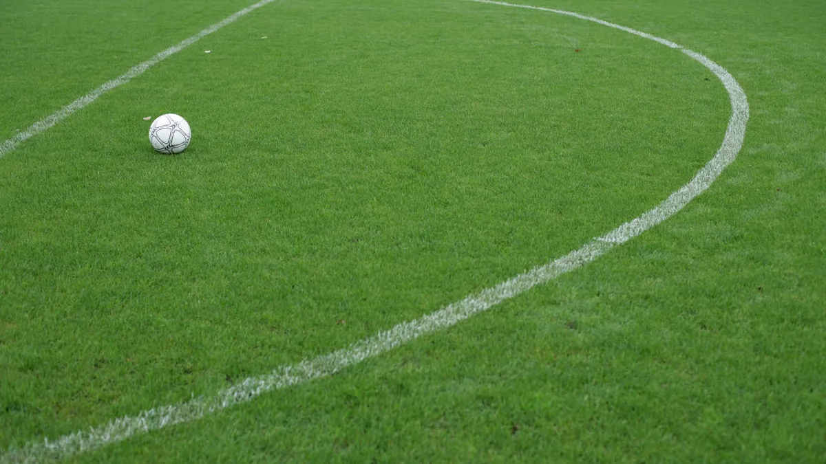 A ball on the white line